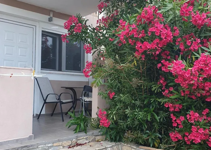 Hotel Maraki Thimonia